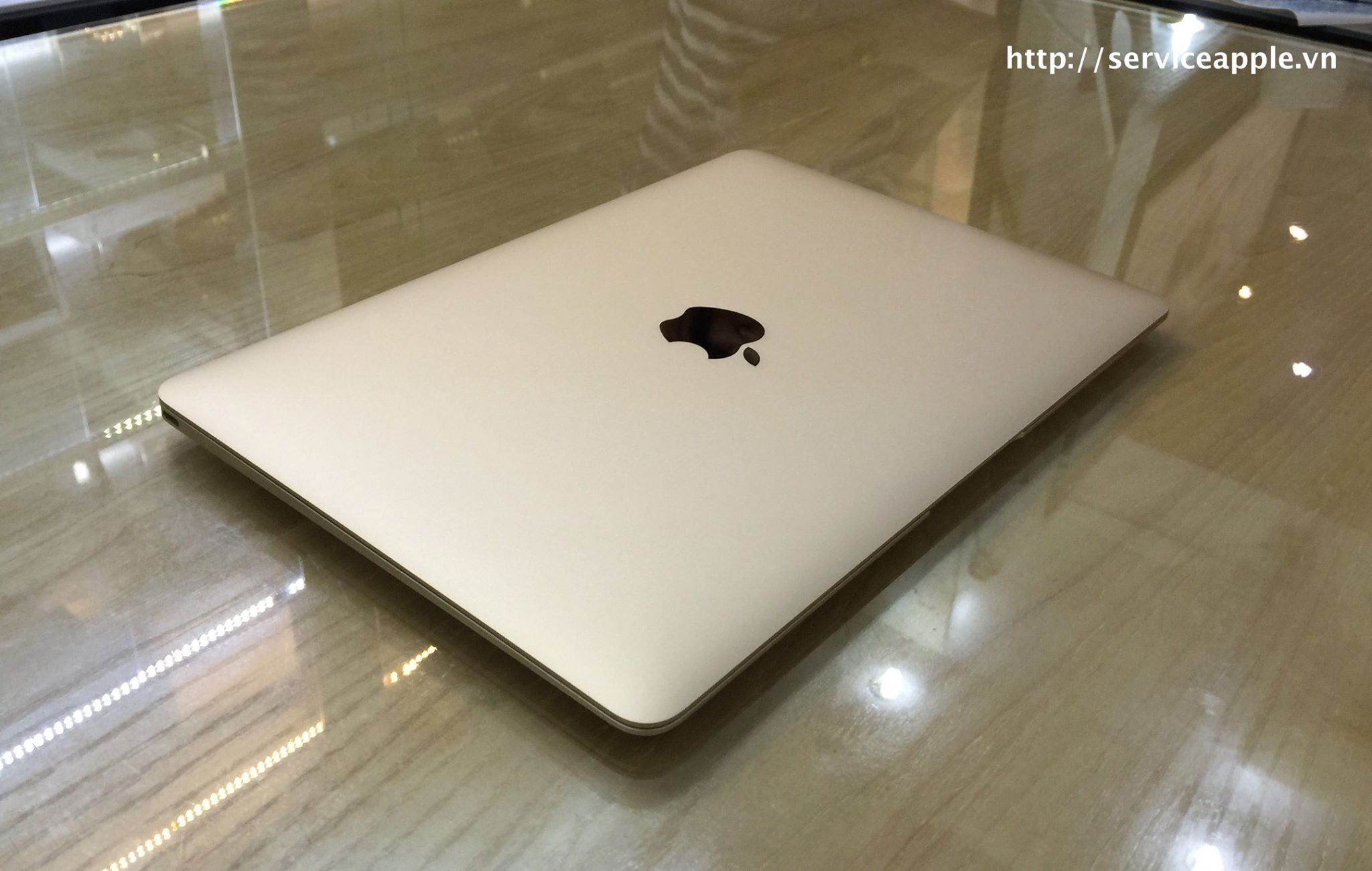 The New MacBook 12 inch GOLD - MK4N2